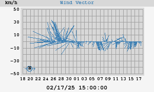 Wind Vector